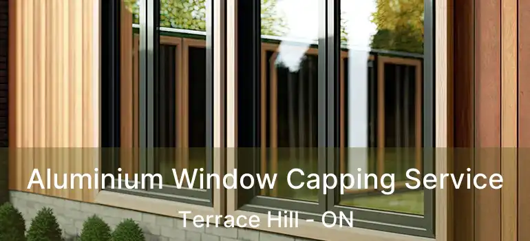 Aluminium Window Capping Service Terrace Hill - ON