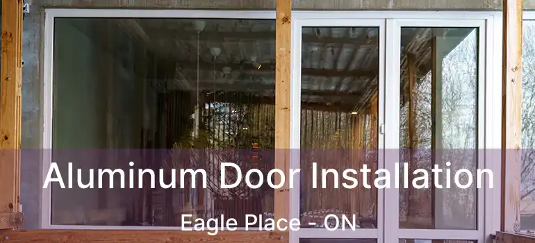  Aluminum Door Installation Eagle Place - ON
