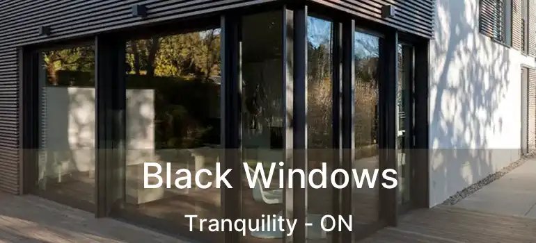  Black Windows Tranquility - ON
