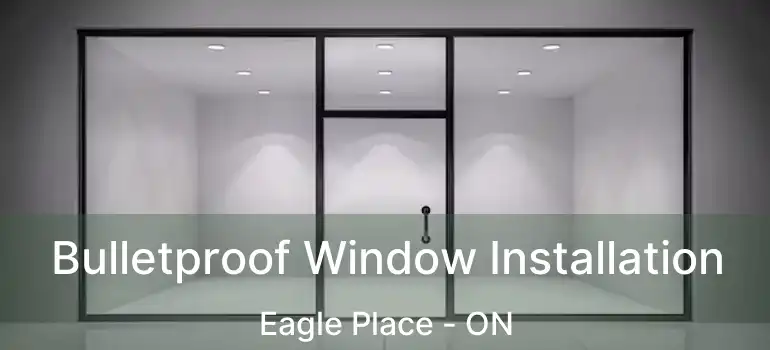  Bulletproof Window Installation Eagle Place - ON