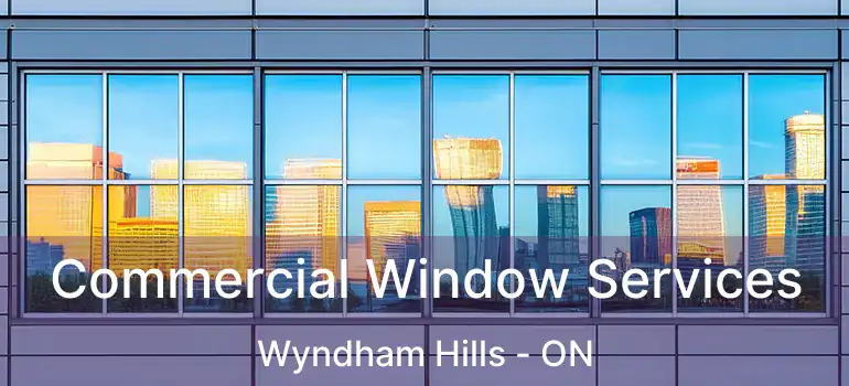  Commercial Window Services Wyndham Hills - ON