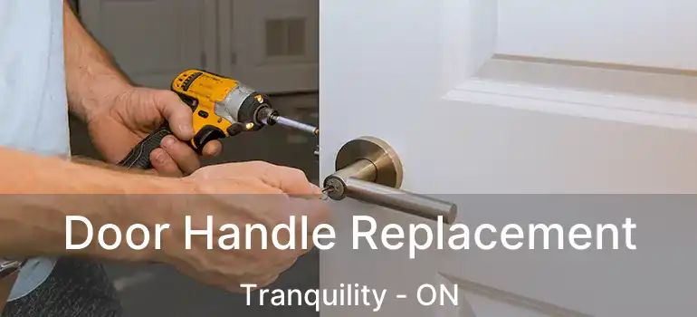  Door Handle Replacement Tranquility - ON
