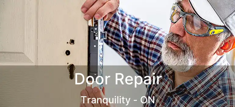  Door Repair Tranquility - ON