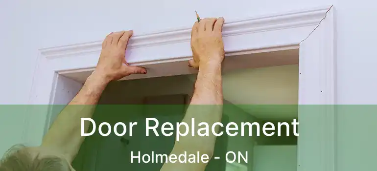  Door Replacement Holmedale - ON