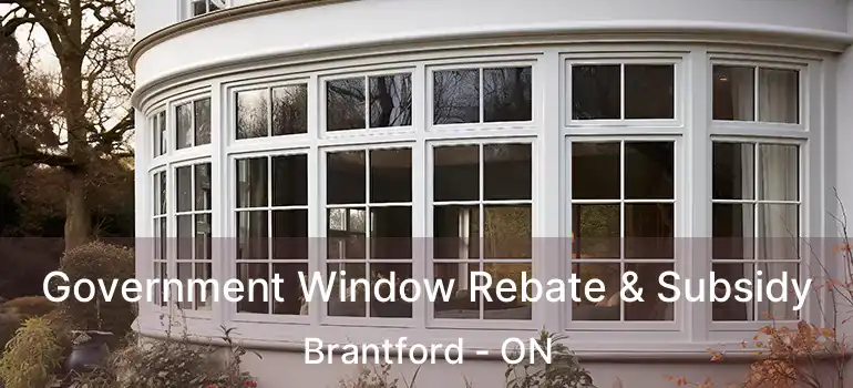  Government Window Rebate & Subsidy Brantford - ON
