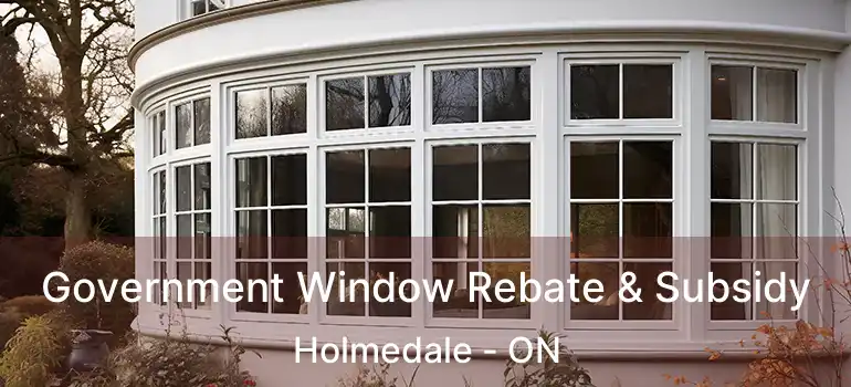  Government Window Rebate & Subsidy Holmedale - ON