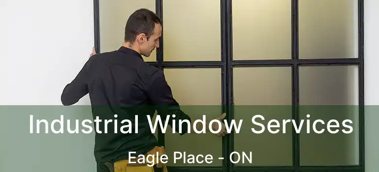  Industrial Window Services Eagle Place - ON