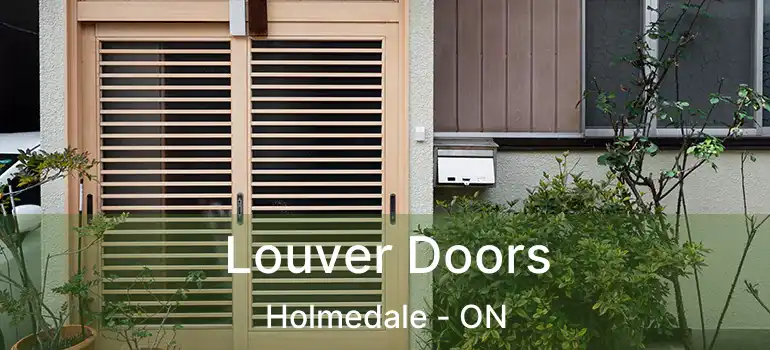  Louver Doors Holmedale - ON