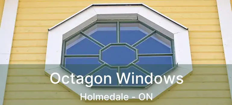  Octagon Windows Holmedale - ON