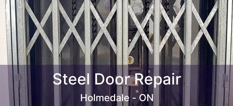  Steel Door Repair Holmedale - ON