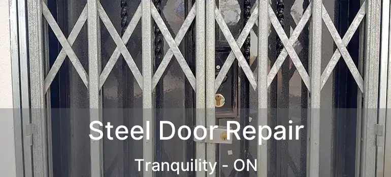  Steel Door Repair Tranquility - ON