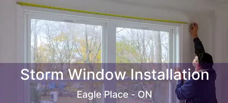  Storm Window Installation Eagle Place - ON