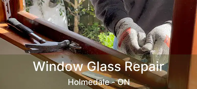  Window Glass Repair Holmedale - ON