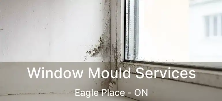  Window Mould Services Eagle Place - ON