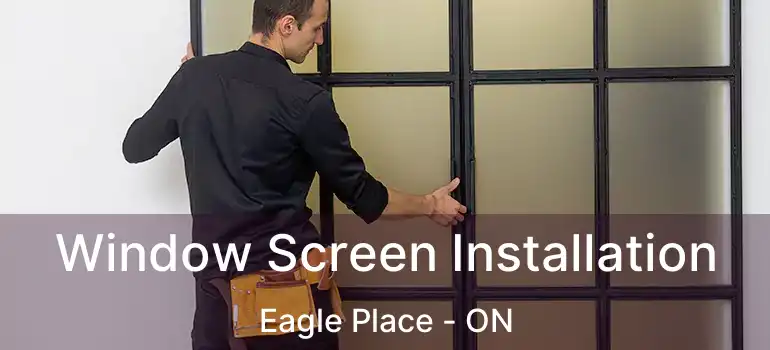  Window Screen Installation Eagle Place - ON